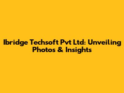 Ibridge Techsoft Pvt Ltd: Unveiling Photos & Insights