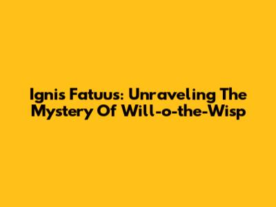 Ignis Fatuus: Unraveling The Mystery Of Will-o'-the-Wisp