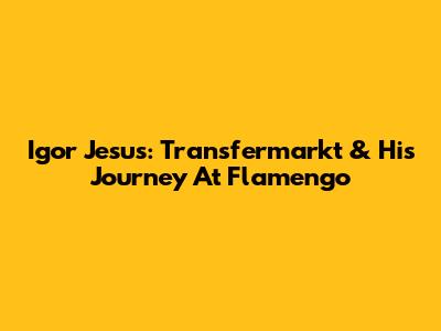 Igor Jesus: Transfermarkt & His Journey At Flamengo