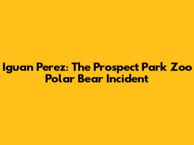 Iguan Perez: The Prospect Park Zoo Polar Bear Incident