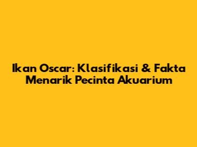 Ikan Oscar: Klasifikasi & Fakta Menarik Pecinta Akuarium