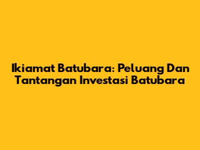 Ikiamat Batubara: Peluang Dan Tantangan Investasi Batubara