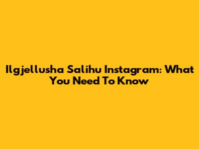 Ilgjellusha Salihu Instagram: What You Need To Know