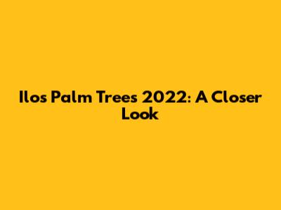 Ilo's Palm Trees 2022: A Closer Look