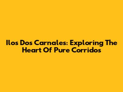 Ilos Dos Carnales: Exploring The Heart Of Pure Corridos