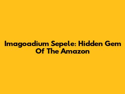Imagoadium Sepele: Hidden Gem Of The Amazon