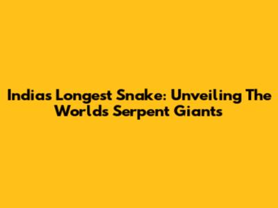 India's Longest Snake: Unveiling The World's Serpent Giants