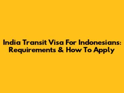 India Transit Visa For Indonesians: Requirements & How To Apply