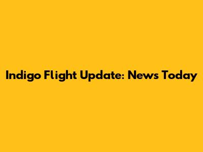 Indigo Flight Update: News Today