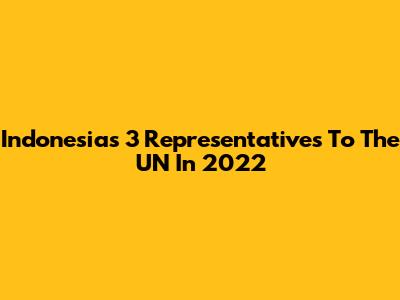 Indonesia's 3 Representatives To The UN In 2022
