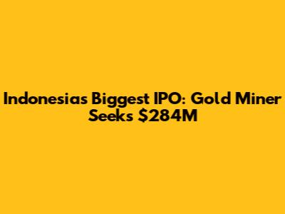 Indonesia's Biggest IPO: Gold Miner Seeks $284M