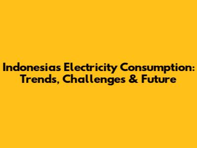 Indonesia's Electricity Consumption: Trends, Challenges & Future