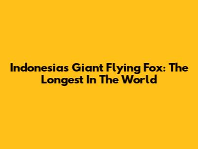 Indonesia's Giant Flying Fox: The Longest In The World
