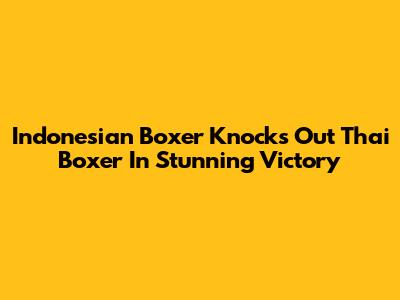 Indonesian Boxer Knocks Out Thai Boxer In Stunning Victory