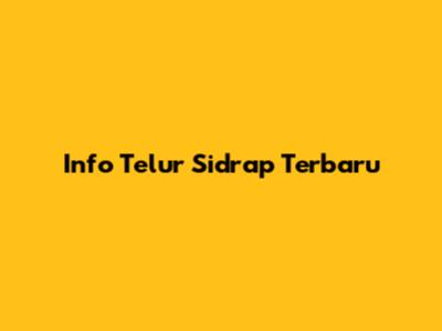 Info Telur Sidrap Terbaru