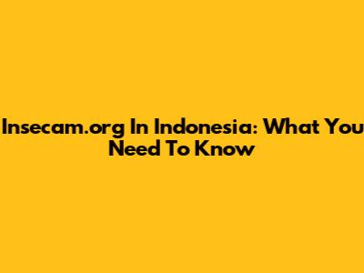 Insecam.org In Indonesia: What You Need To Know