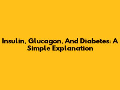 Insulin, Glucagon, And Diabetes: A Simple Explanation