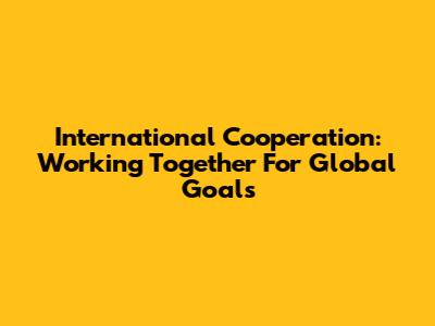 International Cooperation: Working Together For Global Goals