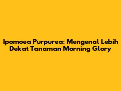 Ipomoea Purpurea: Mengenal Lebih Dekat Tanaman Morning Glory