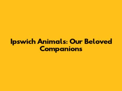 Ipswich Animals: Our Beloved Companions