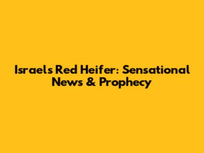 Israel's Red Heifer: Sensational News & Prophecy