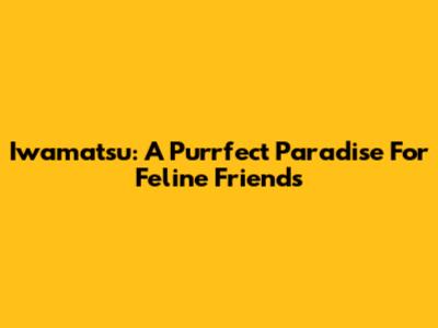 Iwamatsu: A Purrfect Paradise For Feline Friends