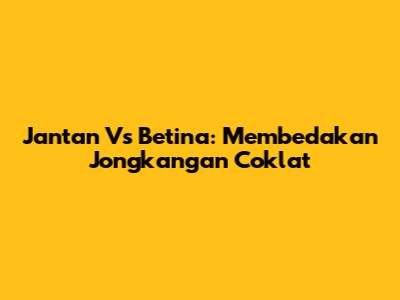 Jantan Vs Betina: Membedakan Jongkangan Coklat