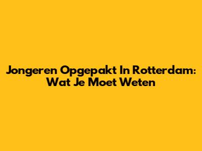 Jongeren Opgepakt In Rotterdam: Wat Je Moet Weten