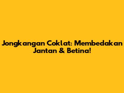 Jongkangan Coklat: Membedakan Jantan & Betina!