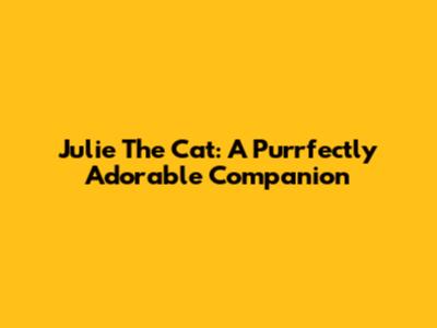 Julie The Cat: A Purrfectly Adorable Companion