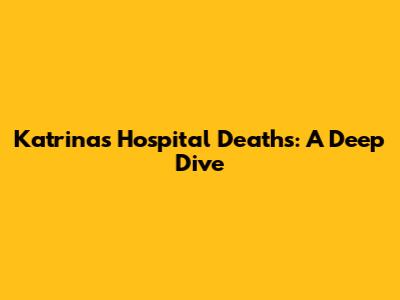 Katrina's Hospital Deaths: A Deep Dive