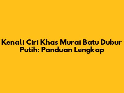 Kenali Ciri Khas Murai Batu Dubur Putih: Panduan Lengkap
