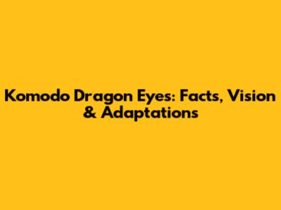 Komodo Dragon Eyes: Facts, Vision & Adaptations
