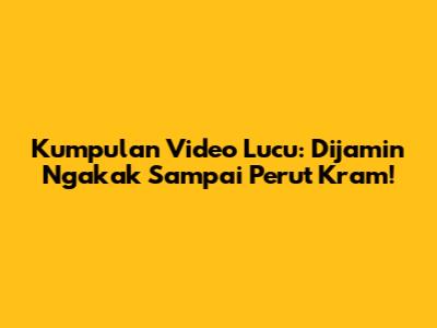 Kumpulan Video Lucu: Dijamin Ngakak Sampai Perut Kram!