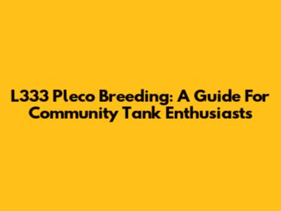 L333 Pleco Breeding: A Guide For Community Tank Enthusiasts