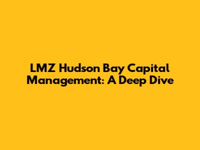 LMZ Hudson Bay Capital Management: A Deep Dive