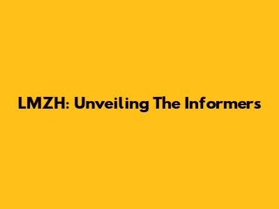 LMZH: Unveiling The Informers