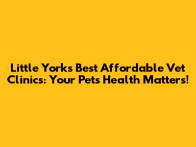 Little York's Best Affordable Vet Clinics: Your Pet's Health Matters!