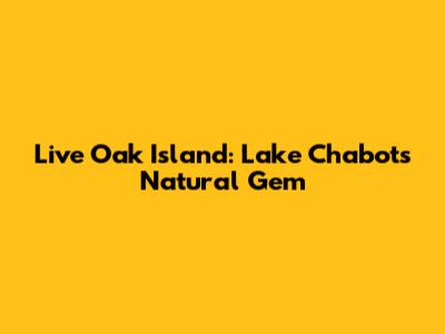 Live Oak Island: Lake Chabot's Natural Gem