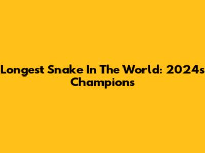 Longest Snake In The World: 2024's Champions