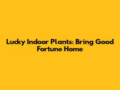 Lucky Indoor Plants: Bring Good Fortune Home