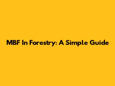 MBF In Forestry: A Simple Guide