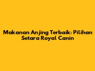 Makanan Anjing Terbaik: Pilihan Setara Royal Canin