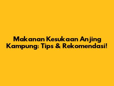 Makanan Kesukaan Anjing Kampung: Tips & Rekomendasi!