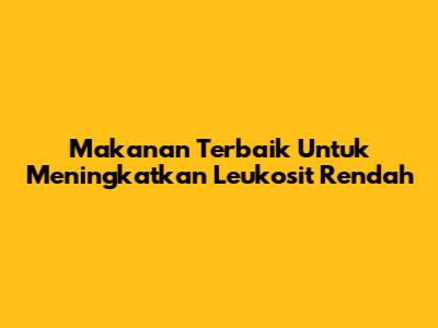 Makanan Terbaik Untuk Meningkatkan Leukosit Rendah