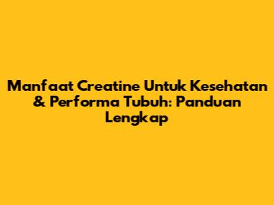 Manfaat Creatine Untuk Kesehatan & Performa Tubuh: Panduan Lengkap