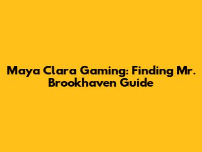 Maya Clara Gaming: Finding Mr. Brookhaven Guide