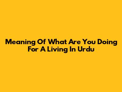 Meaning Of 'What Are You Doing For A Living' In Urdu