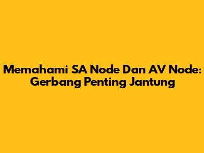 Memahami SA Node Dan AV Node: Gerbang Penting Jantung
