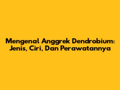 Mengenal Anggrek Dendrobium: Jenis, Ciri, Dan Perawatannya
